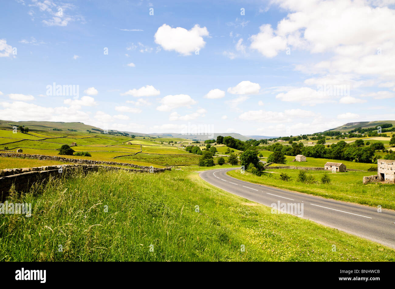 Yorkshire Dales, landscape in the upper Wensleydale near Hawes, road A684 Stock Photo