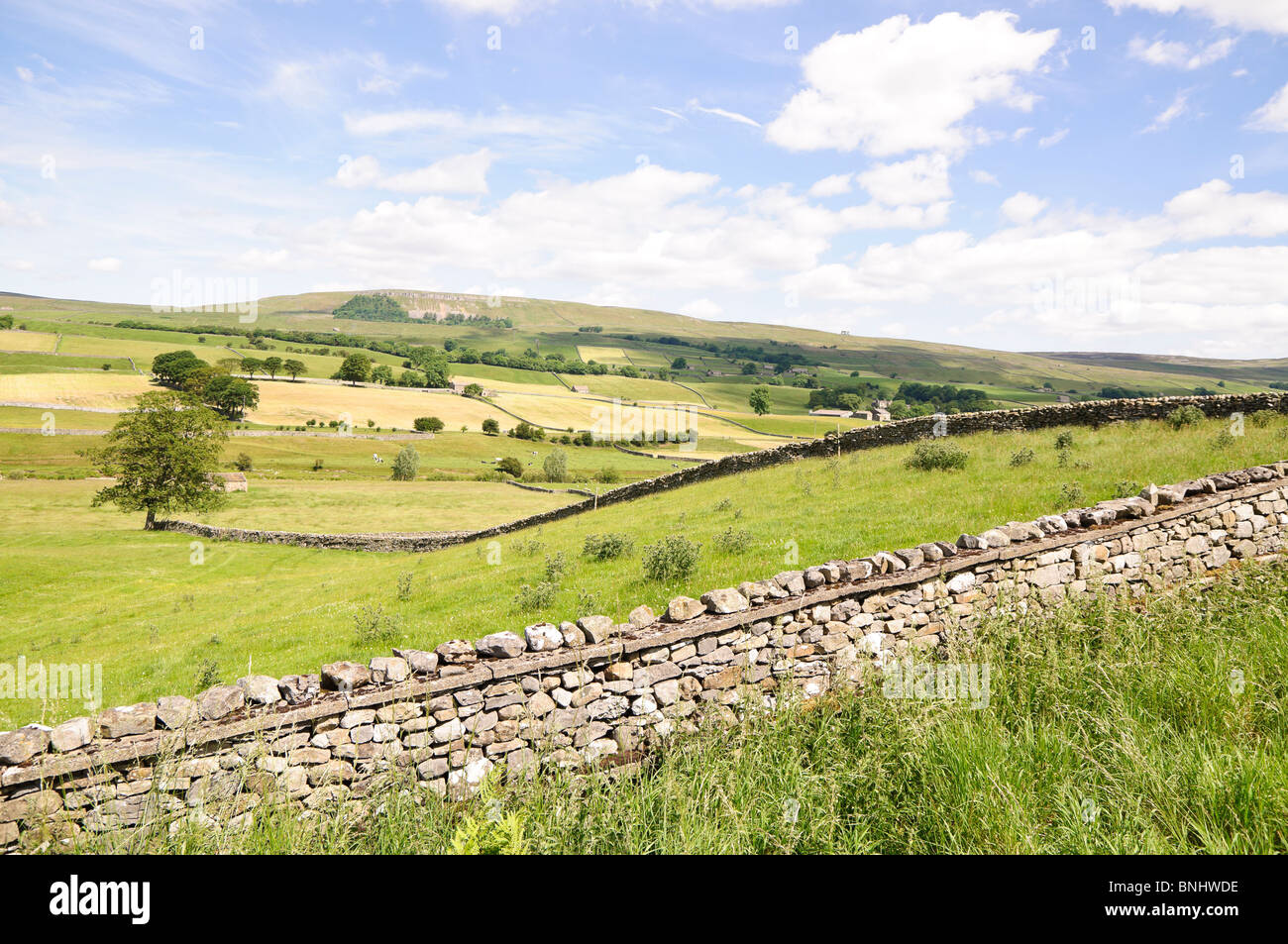 Yorkshire Dales, landscape in the upper Wensleydale near Hawes Stock Photo