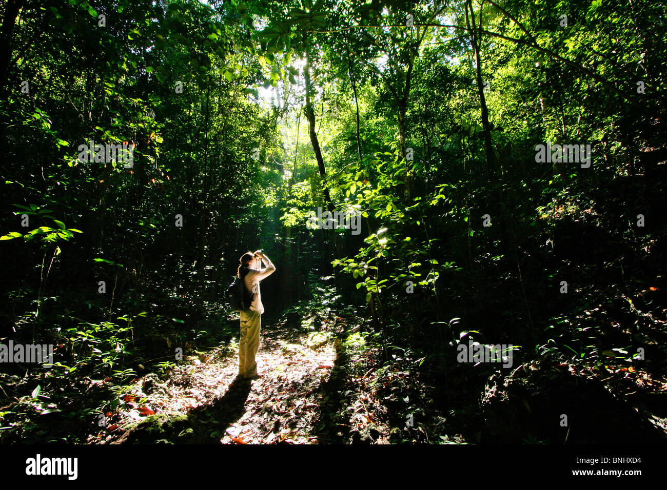 Woman standing in a rainforest and looking through binoculars, Rajah Sikatuna National Park, Bohol, Philippines Stock Photo