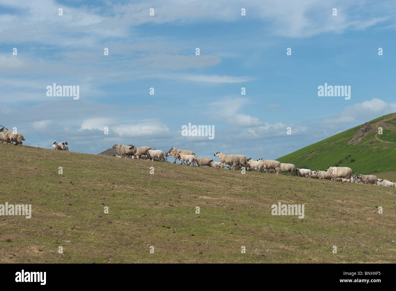 Church Stretton, Shropshire Stock Photo Alamy