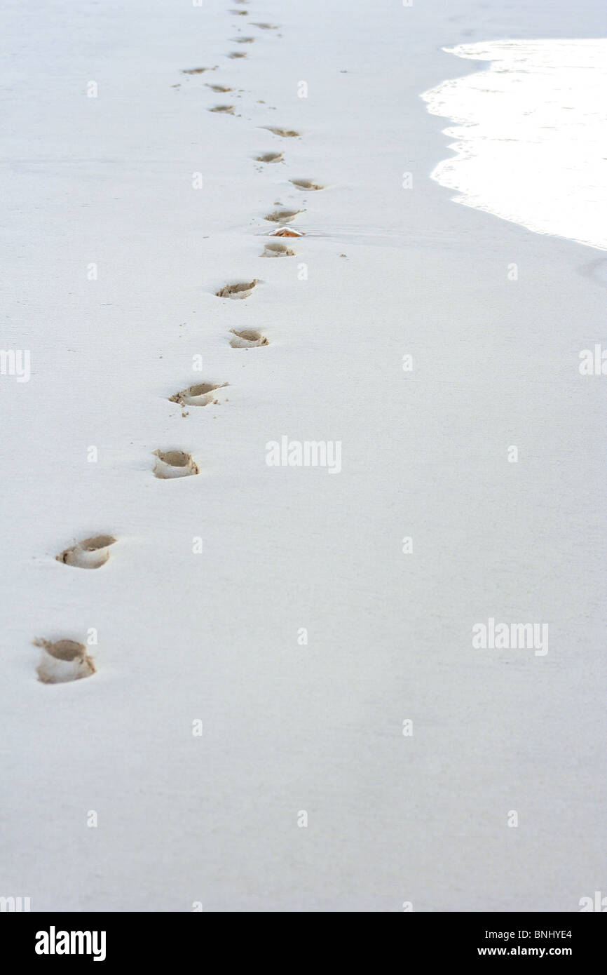 Human footprints on a clean, sandy beach, Palawan, Philippines Stock Photo
