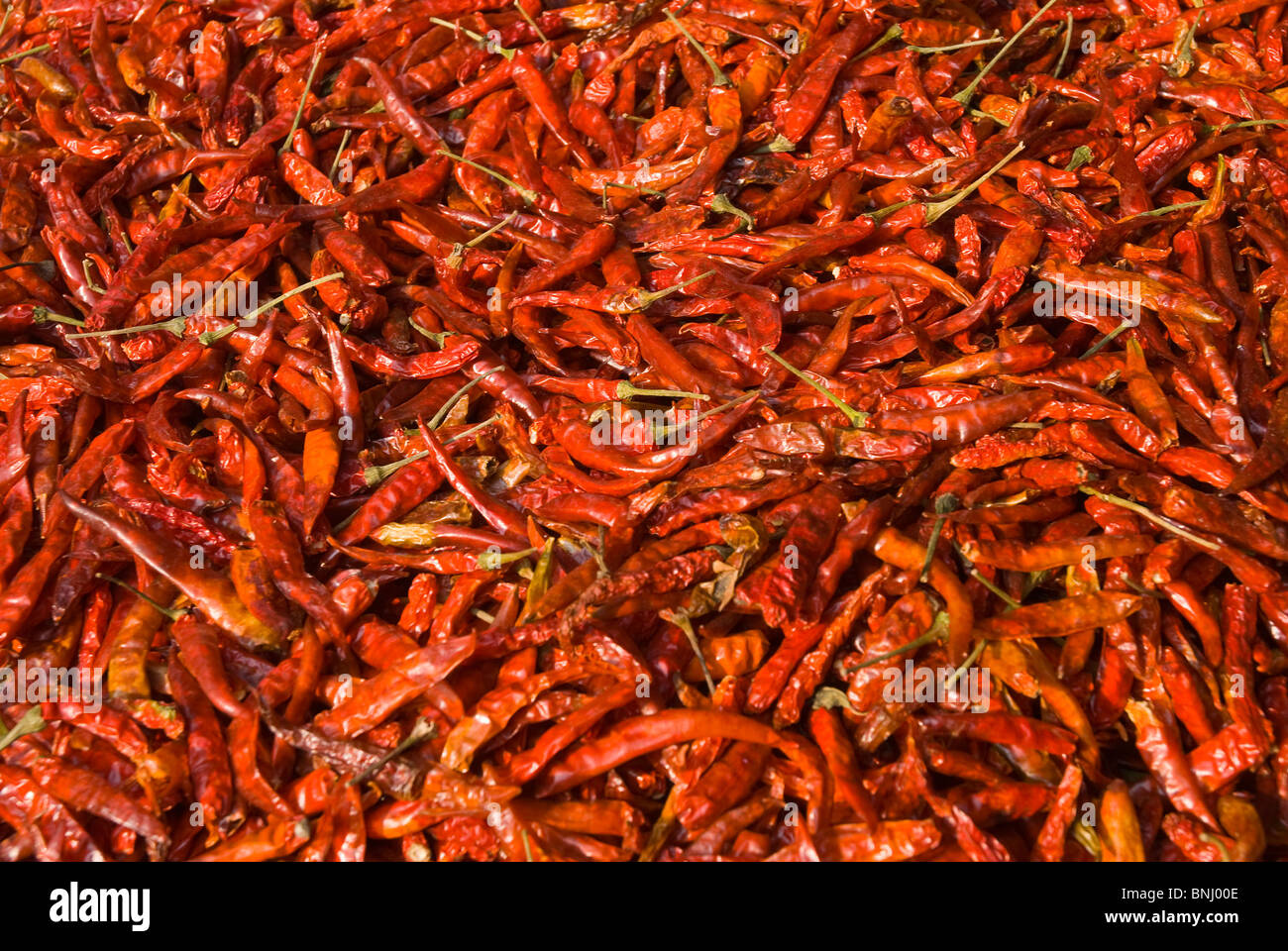 Bangkok city Thailand Siam South-East Asia market red chili fresh hot ...