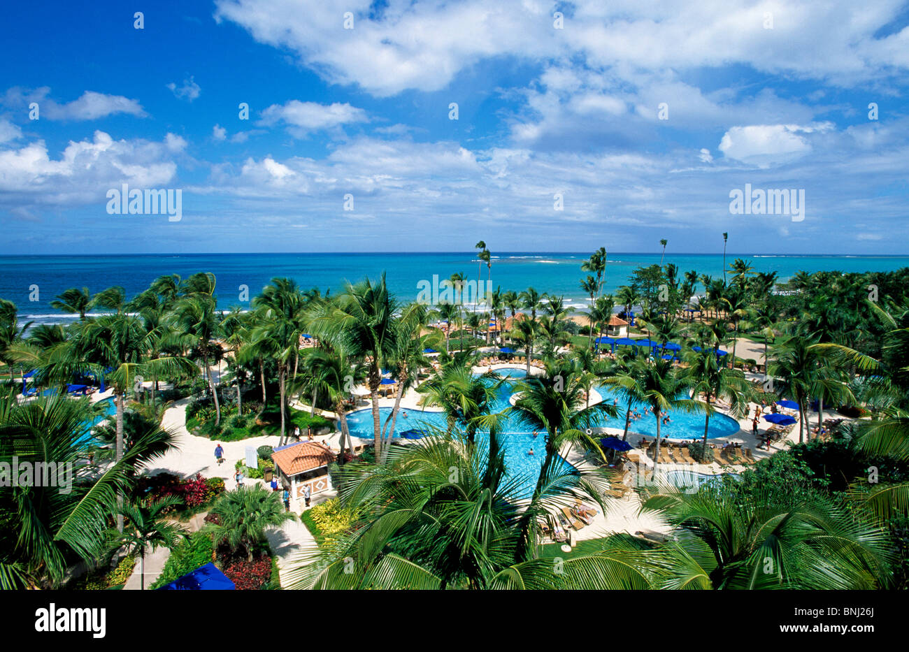 Day Puerto Rico Island Islands Caribbean Sea Ocean Antilles Greater Antilles Wyndham Rio Mar Beach Resort Rio Grande Hotel Pool Stock Photo Alamy