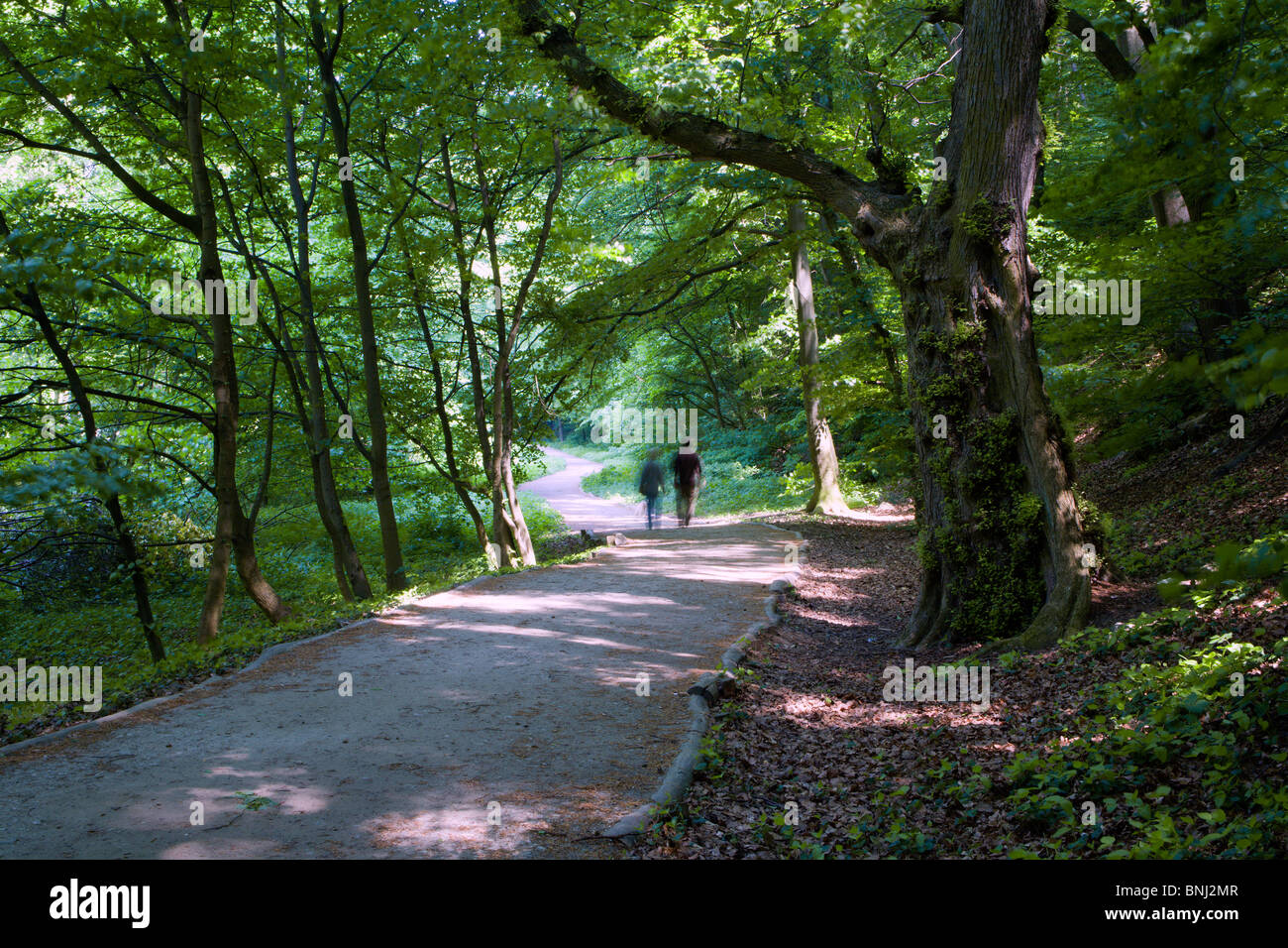 Walking in nature hi-res stock photography and images - Alamy
