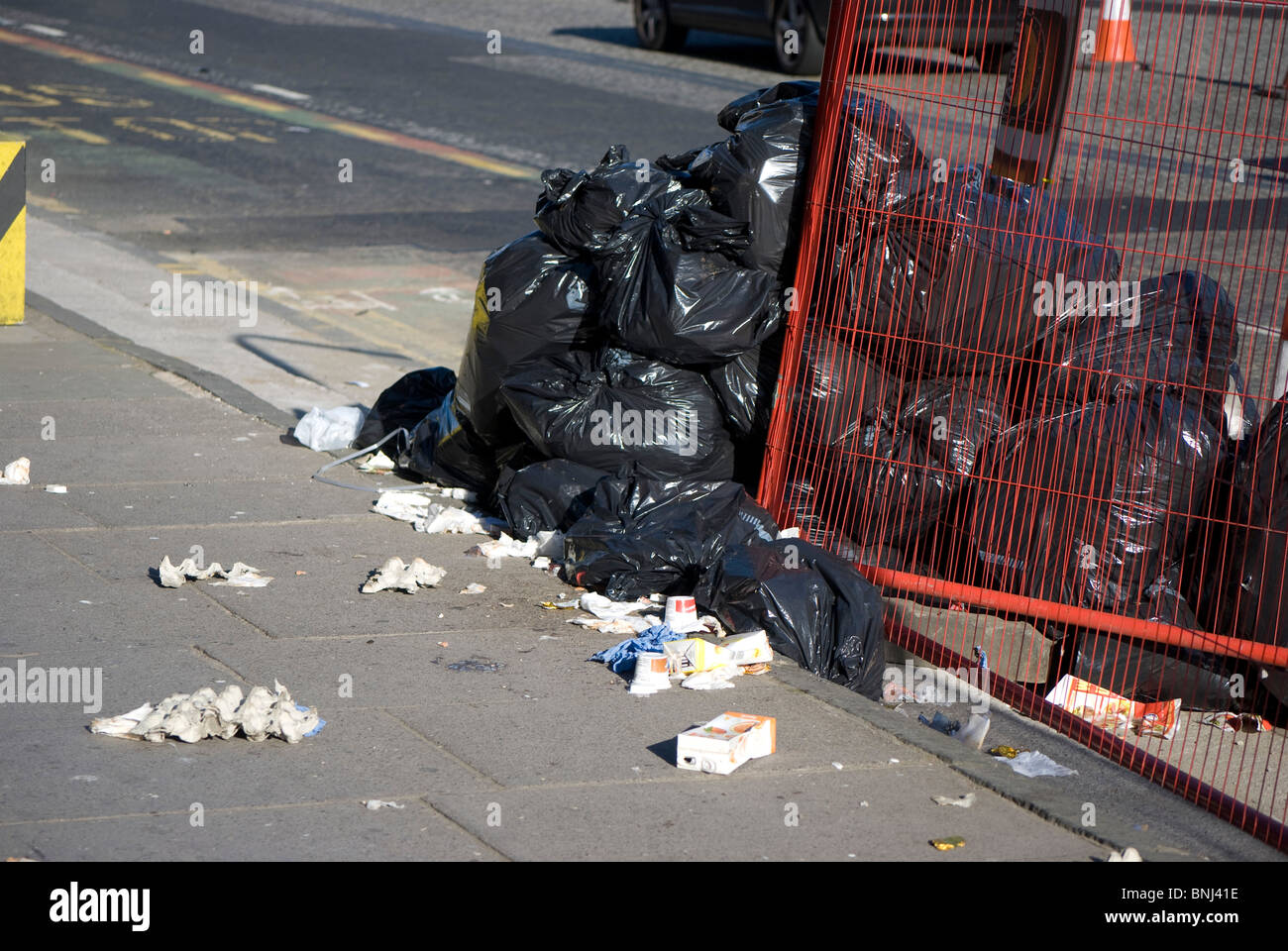 Fox garbage hires stock photography and images Alamy