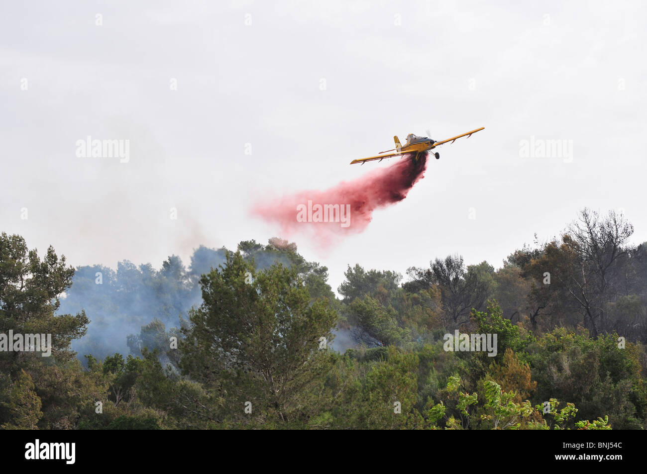 Israel, Haifa Carmel Mountain Forest, Aircraft dropping fire retardant on a wildfire Stock Photo