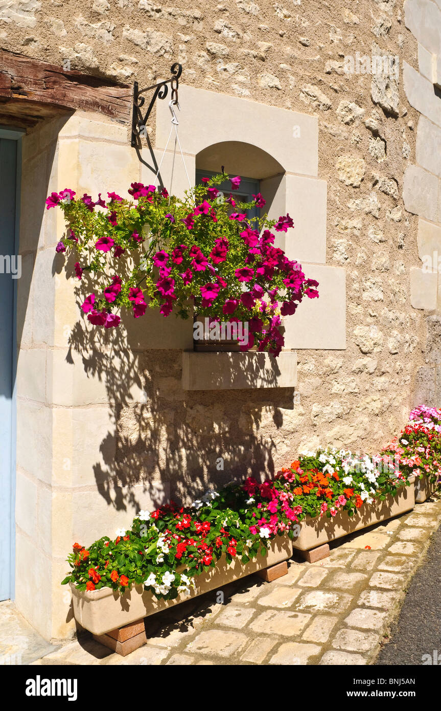 Hanging basket and planters outside renovated stone house - France. Stock Photo