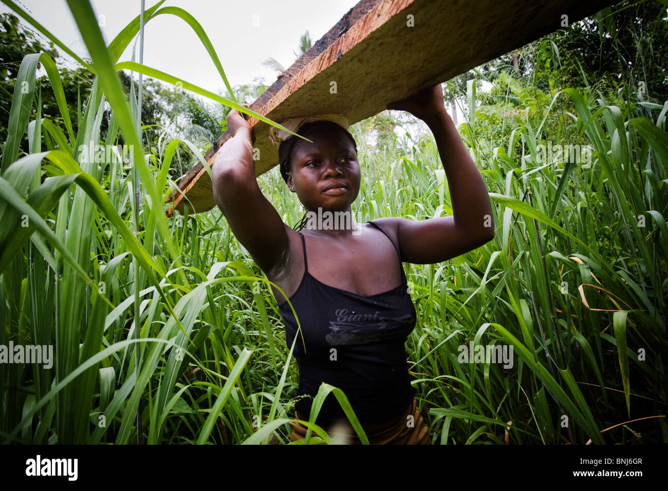 Ghana forest woman hi-res stock photography and images - Alamy
