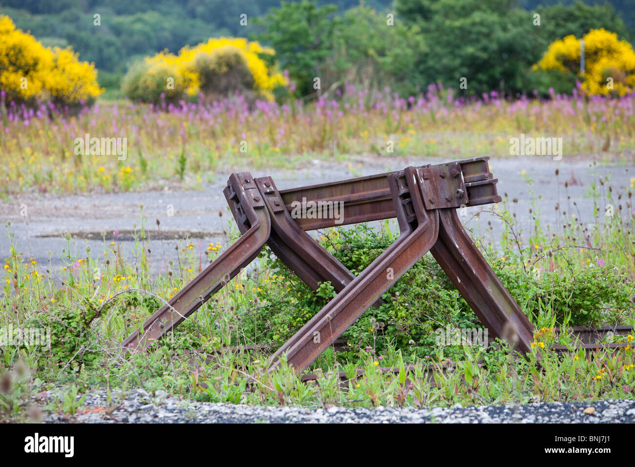 Repurposing Abandoned Industrial Sites For Nature Reserves photo