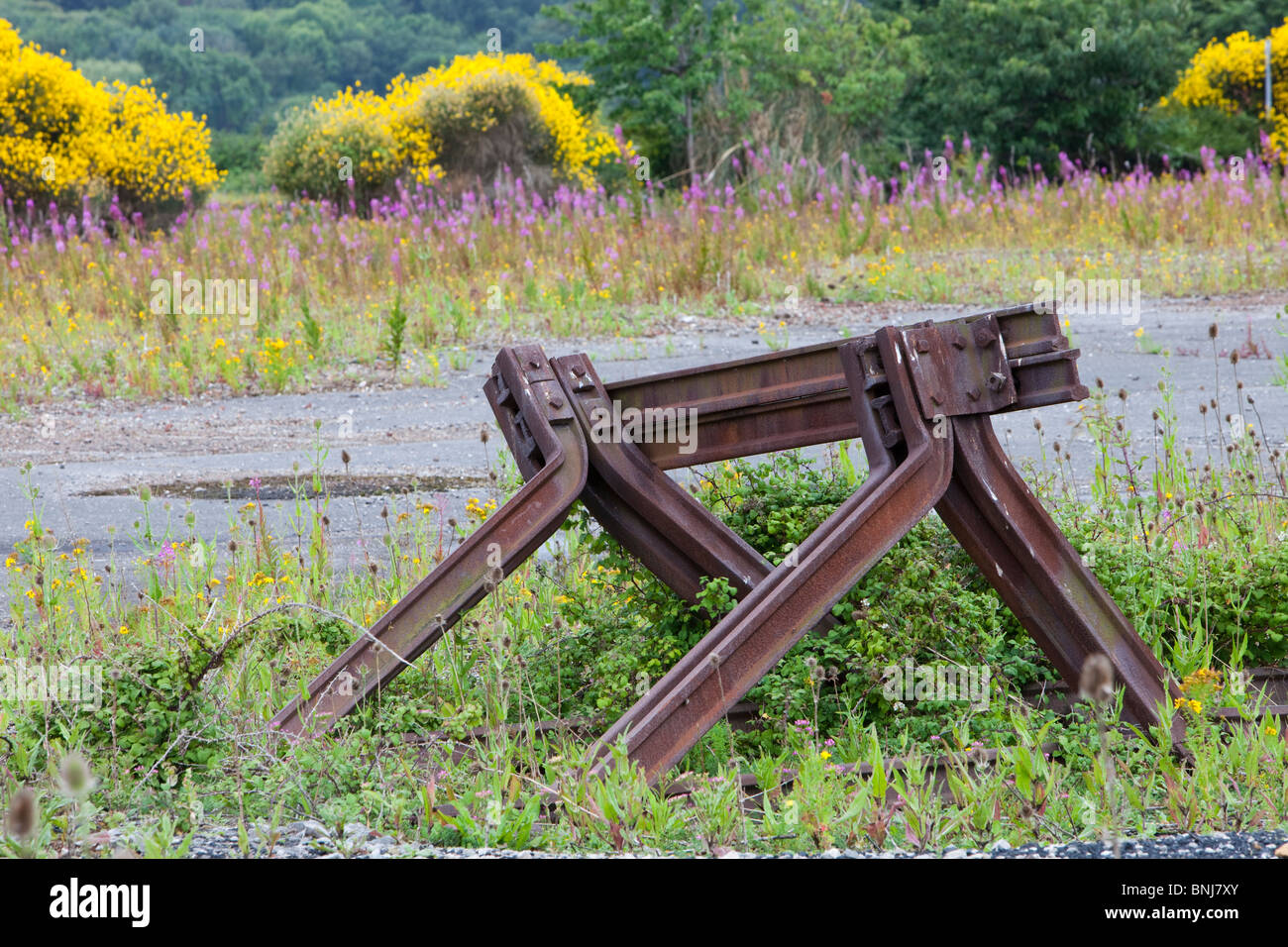 Picture of abandoned industrial sites are often very good wildlife habitat, and ...