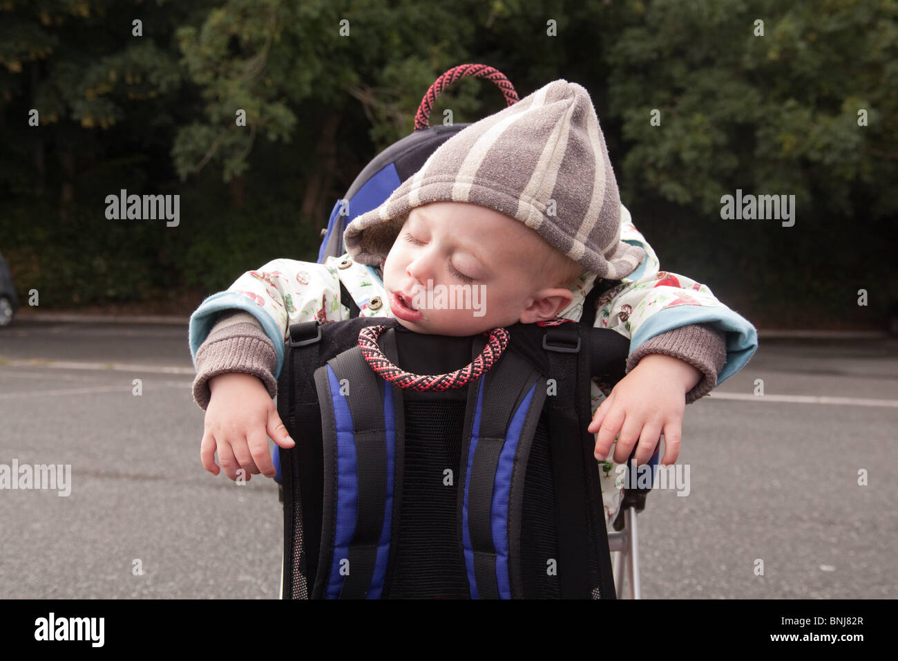 Cute one year old baby boy asleep in a carrier backpack, Devon, England