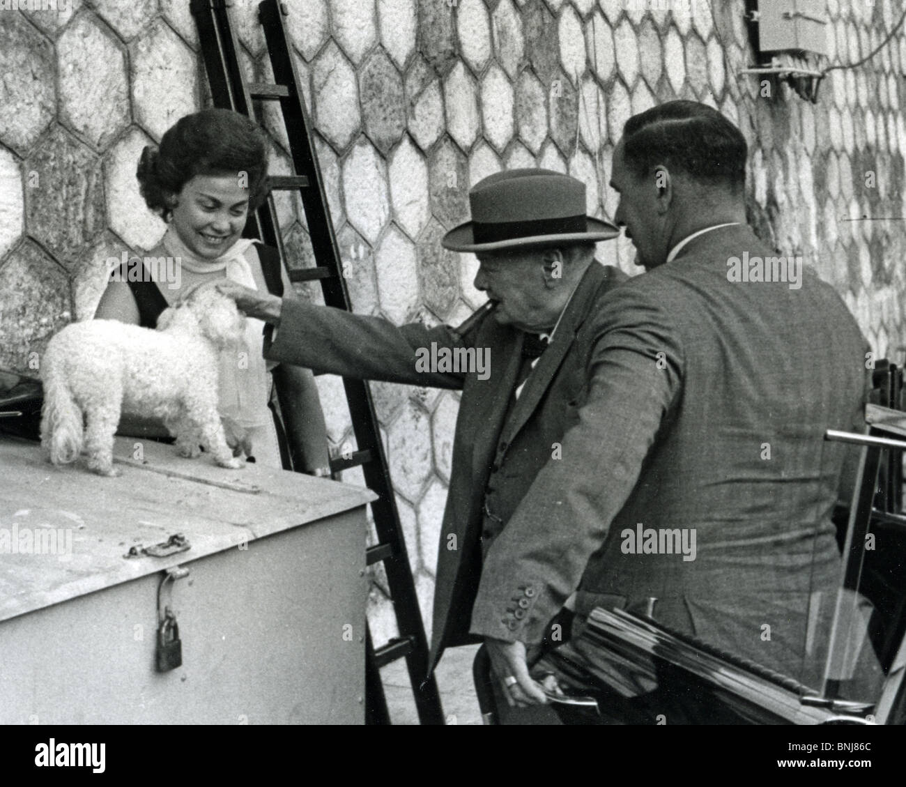 winston churchill dog winston churchill dog