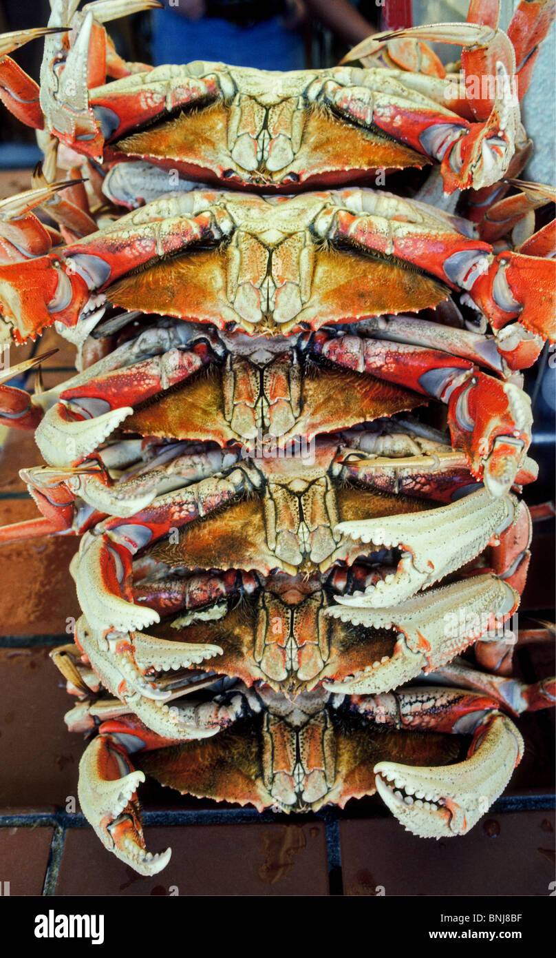 Six fresh Dungeness crabs are stacked up for sale to hungry shoppers at a seafood market on Fisherman's Wharf in San Francisco, California, USA. Stock Photo