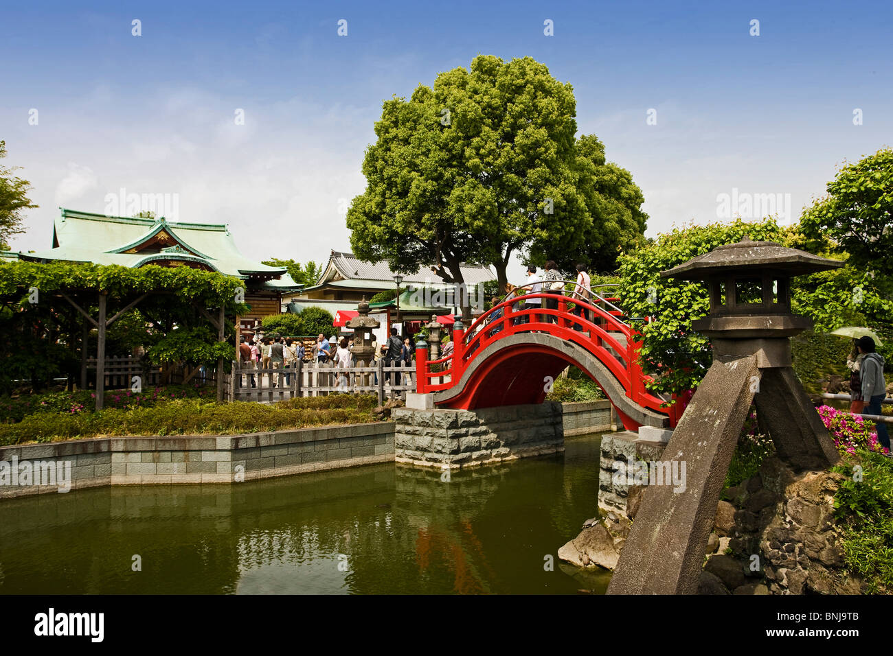 Japan Asia Tokyo town city Kameido Tenjin shrine bridge water tree, Stock Photo