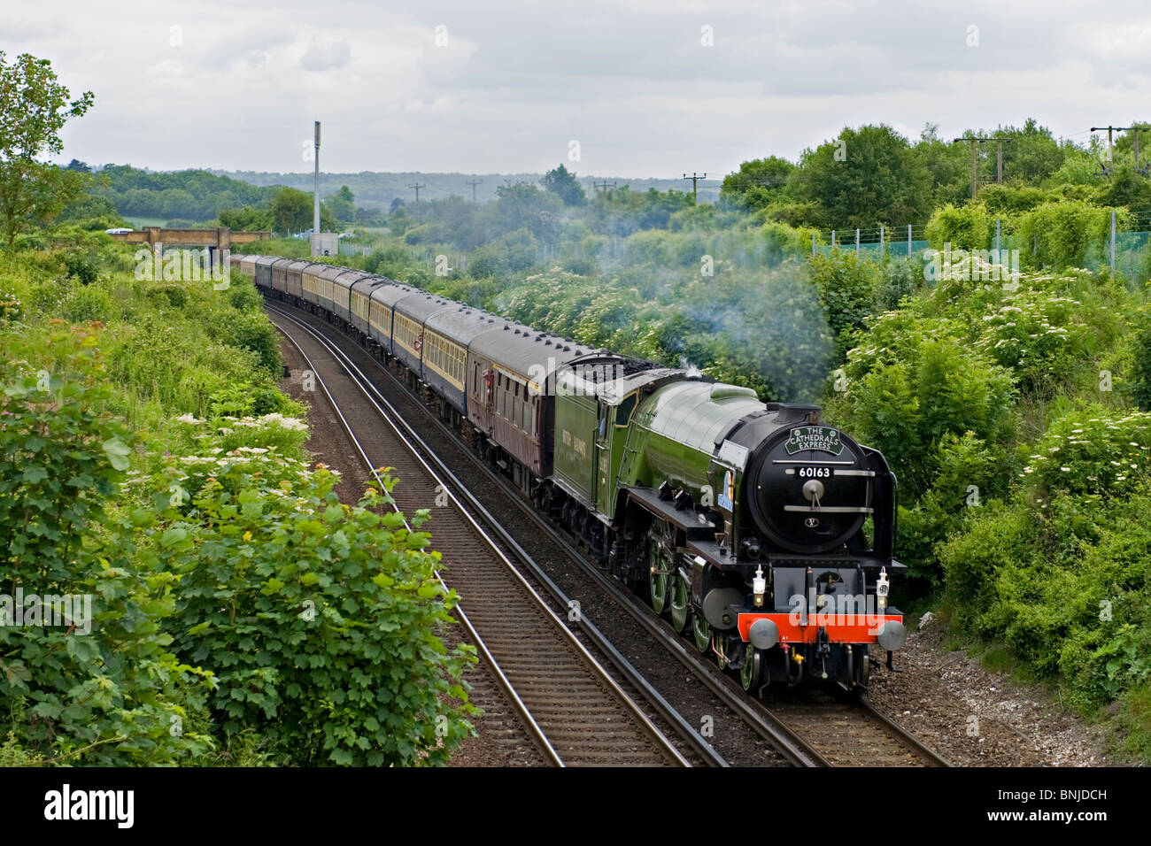 60163 'Tornado' Steam Engine with a charter train near Polhill Tunnel, Sevenoaks, UK Stock Photo