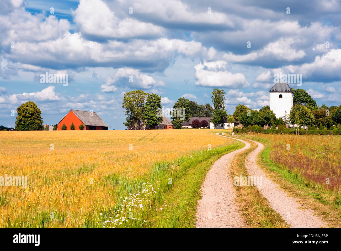 Sweden Skane Blue Sky Church Cloud Clouds Countryside Day Field Fields Grass Nobody Outdoors Outside Road Sky Space Tree Trees Stock Photo