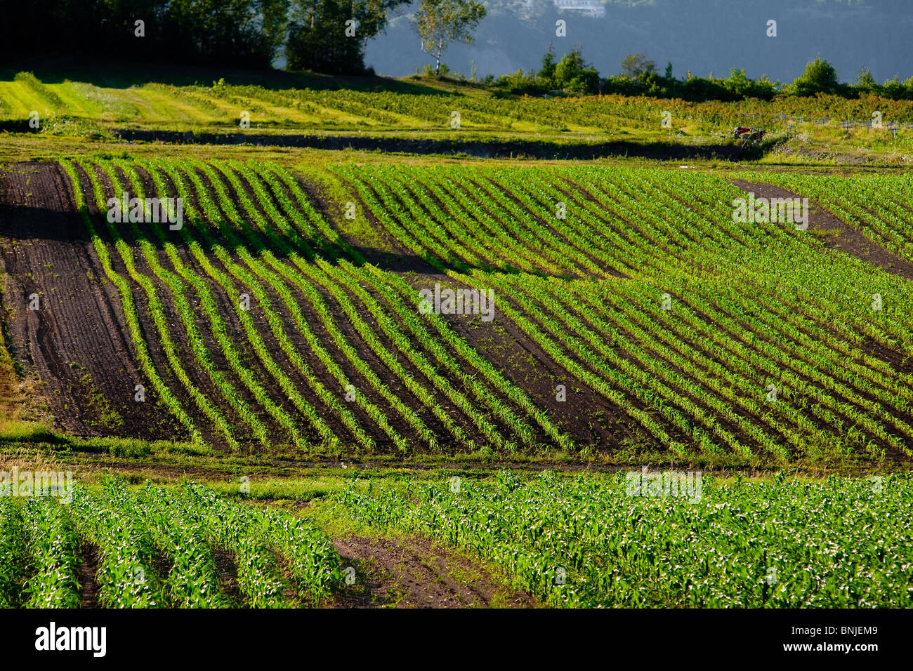 Ile d'orleans quebec hires stock photography and images Alamy