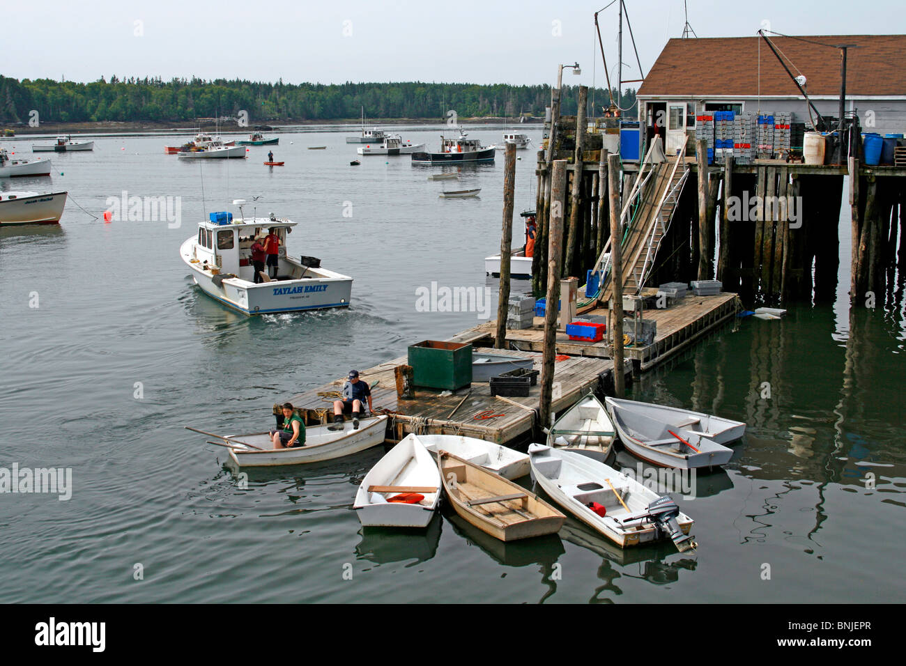 Maine coast Friendship New England USA fishing village Atlantic Ocean