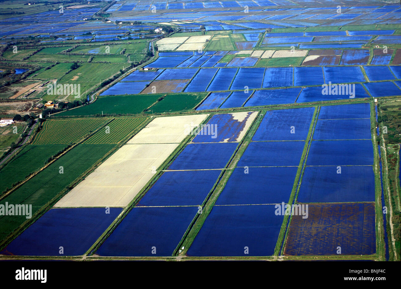 france-camargue-rice-fields-aerial-view-southern-france-mediterranean-BNJF4C.jpg
