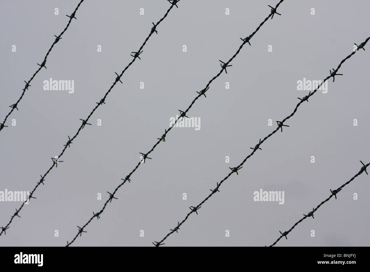 Symbol Drahlt sting wire border fence roadblock cordon gray protection Stock Photo