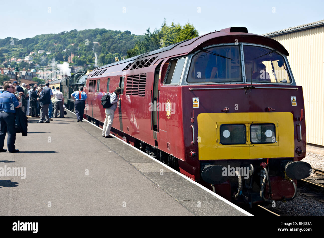 The preserved 'Western' class diesel locomotive on the West Somerset Railway, Minehead, Devon, UK Stock Photo