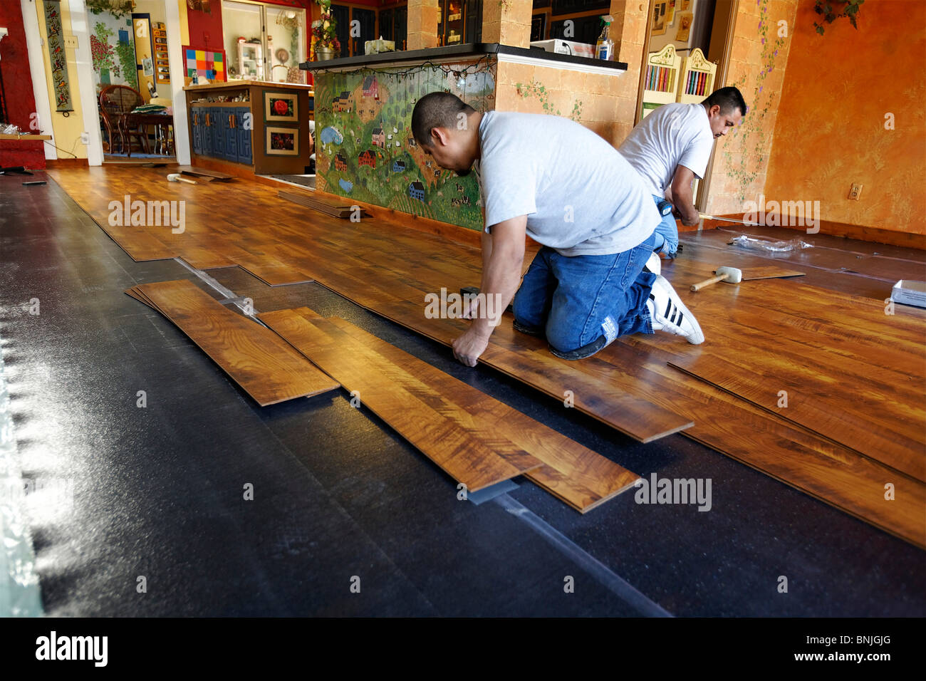 laying new laminate floor flooring worker workers man men indoor indoors houses apartment Stock Photo