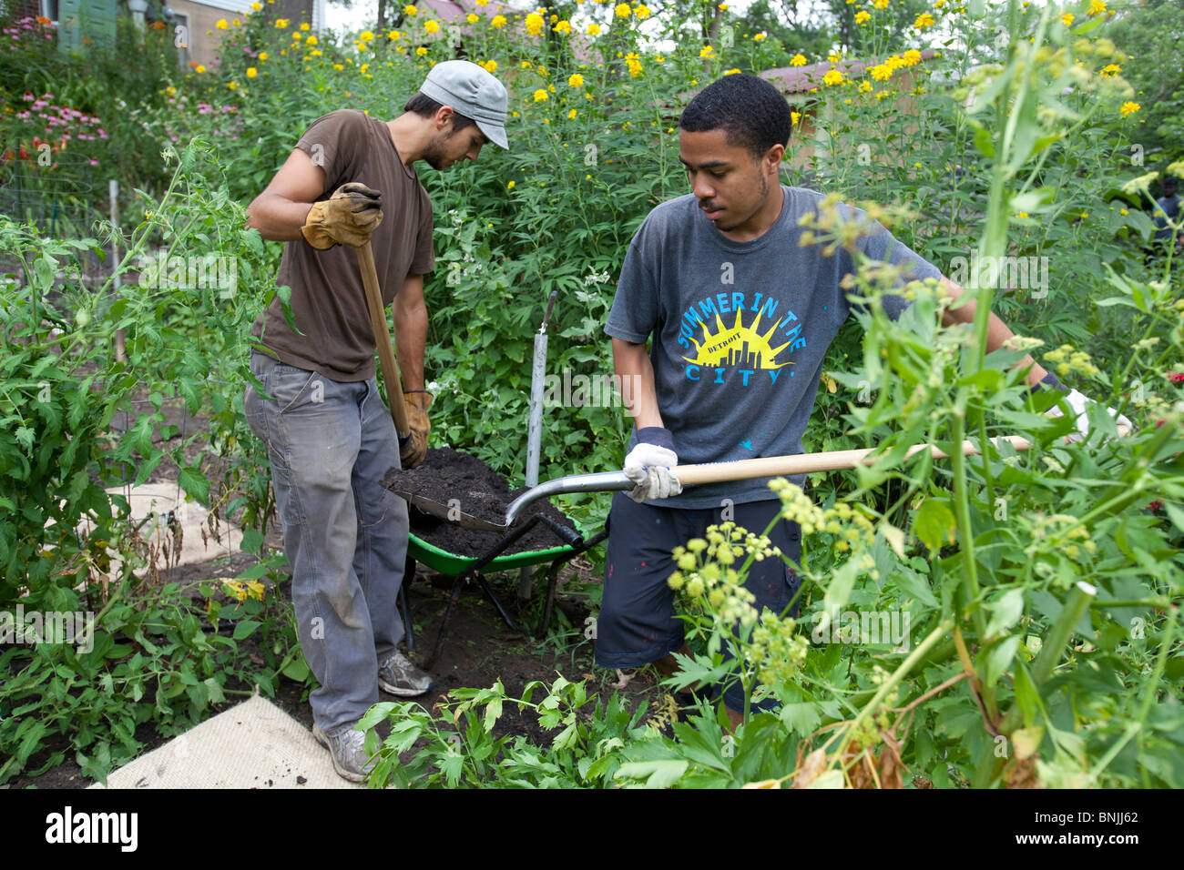 Volunteer work hires stock photography and images Alamy