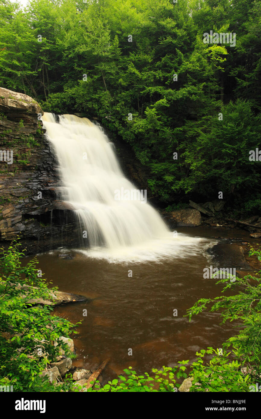 Muddy Creek Falls, Swallow Falls State Park, Oakland, Maryland, USA