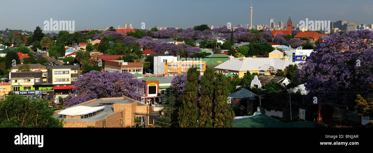 Johannesburg Gauteng South Africa Hillbrow Tower Jacaranda trees bloom flowering roofs overlook overview green gardens city Stock Photo