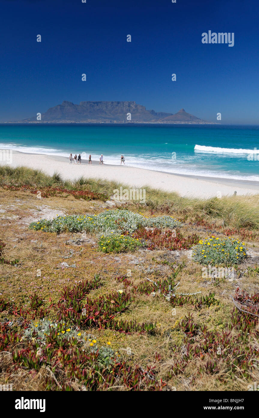 Bloubergstrand Conservation Area Bay Table Mountain Bloubergstrand Western Cape South Africa white sand sandy beach landscape Stock Photo