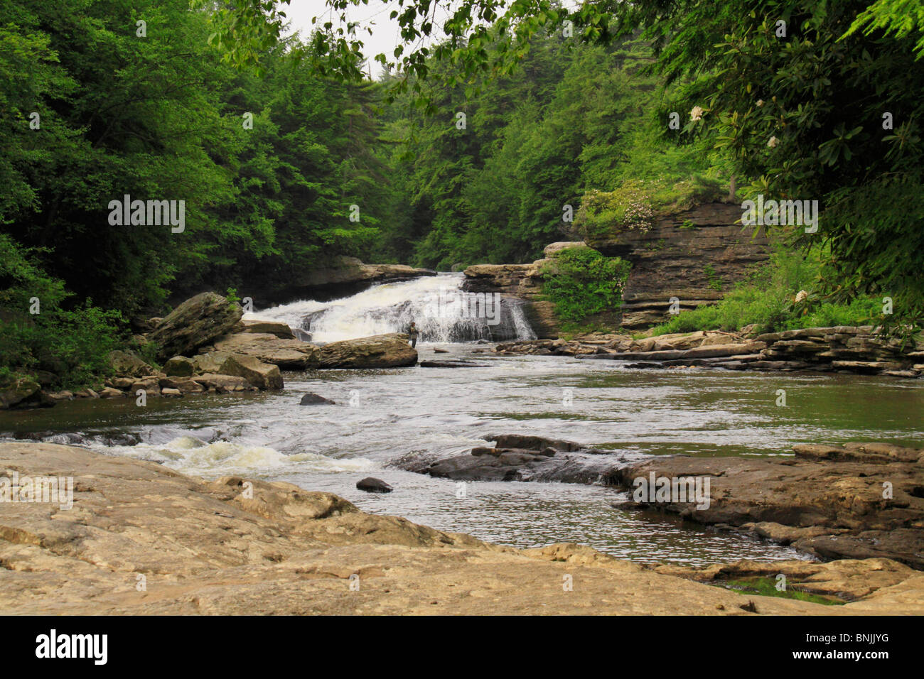 Upper Swallow Falls, Swallow Falls State Park, Oakland, Maryland, USA