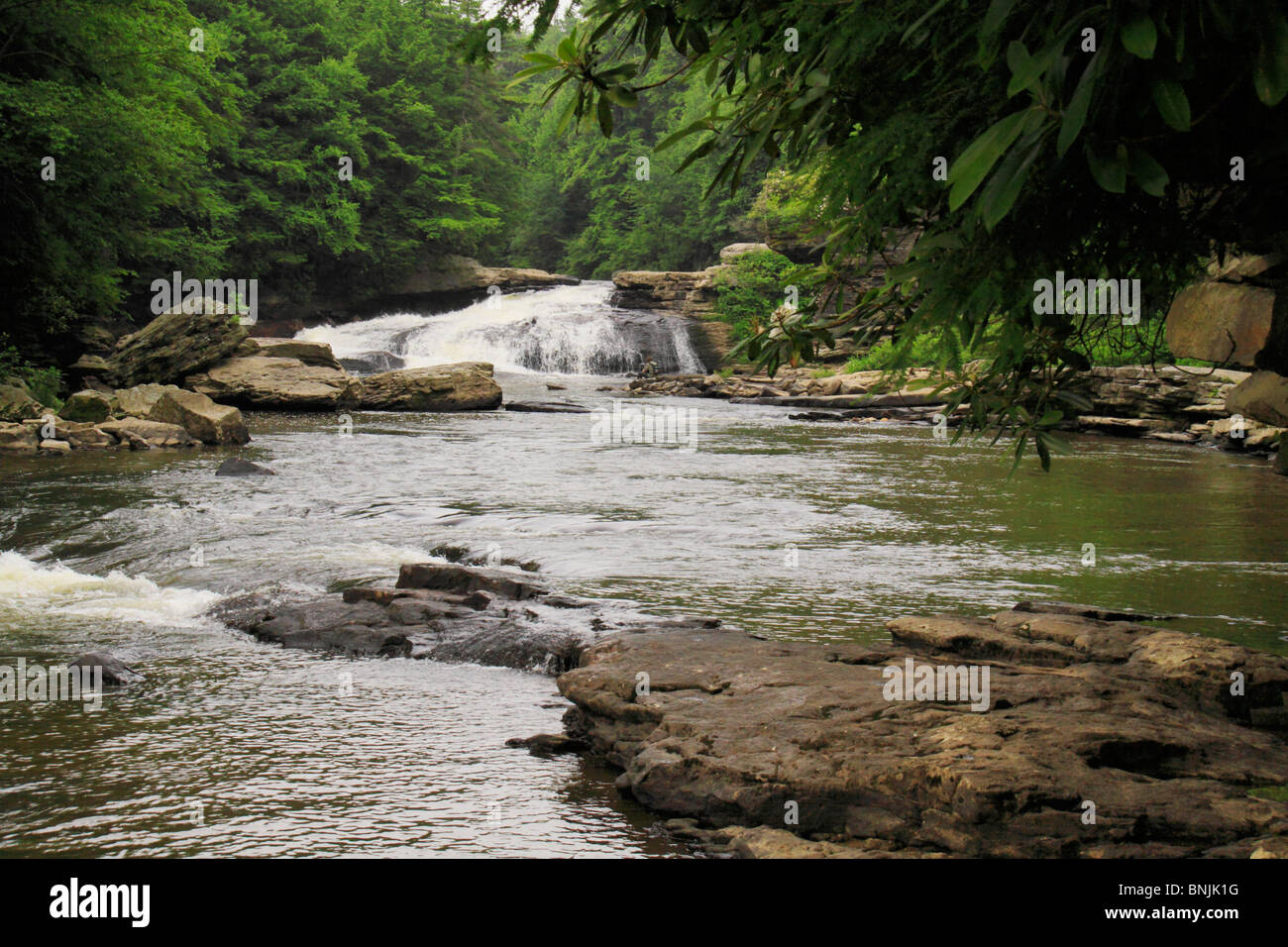 Upper Swallow Falls, Swallow Falls State Park, Oakland, Maryland, USA