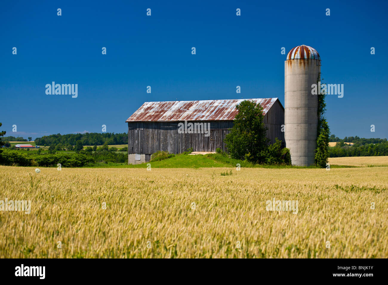 Ontario Canada Barn Stock Photos Ontario Canada Barn Stock
