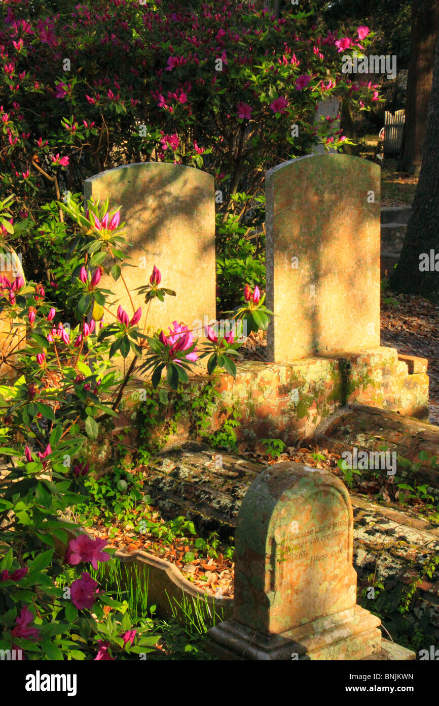 Gravestones with pink azaleas at the historic Old Burying Ground, Beaufort, North Carolina, USA Stock Photo