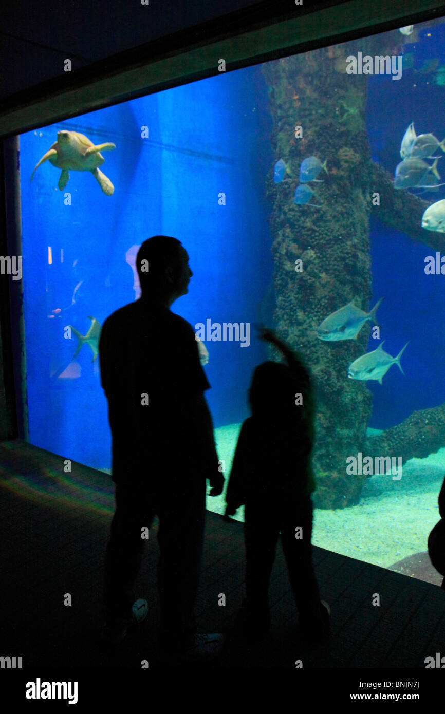 Norfolk Canyon Aquarium at Virginia Aquarium and Marine Science Center