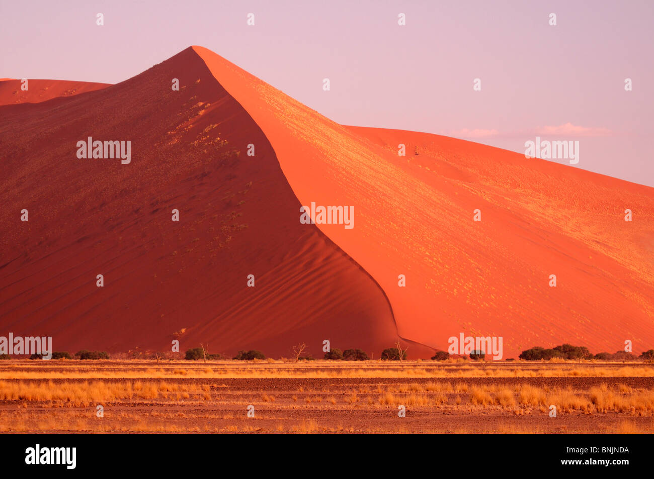 Sand Dunes Sossusvlei area Namib Naukluft National Park Hardap Region ...