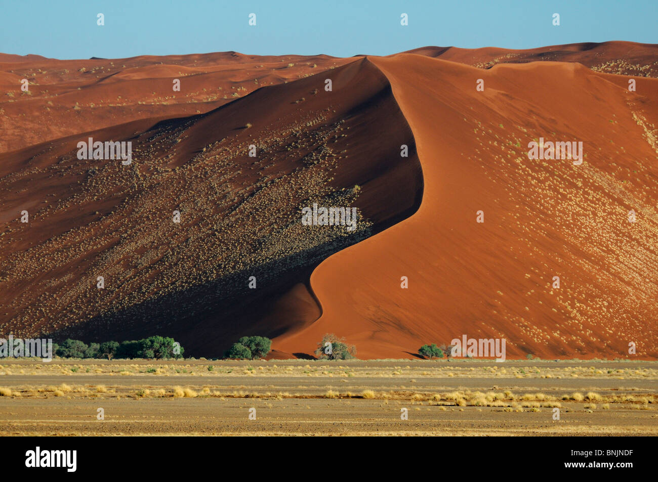 Sand Dunes Sossusvlei area Namib Naukluft National Park Hardap Region ...