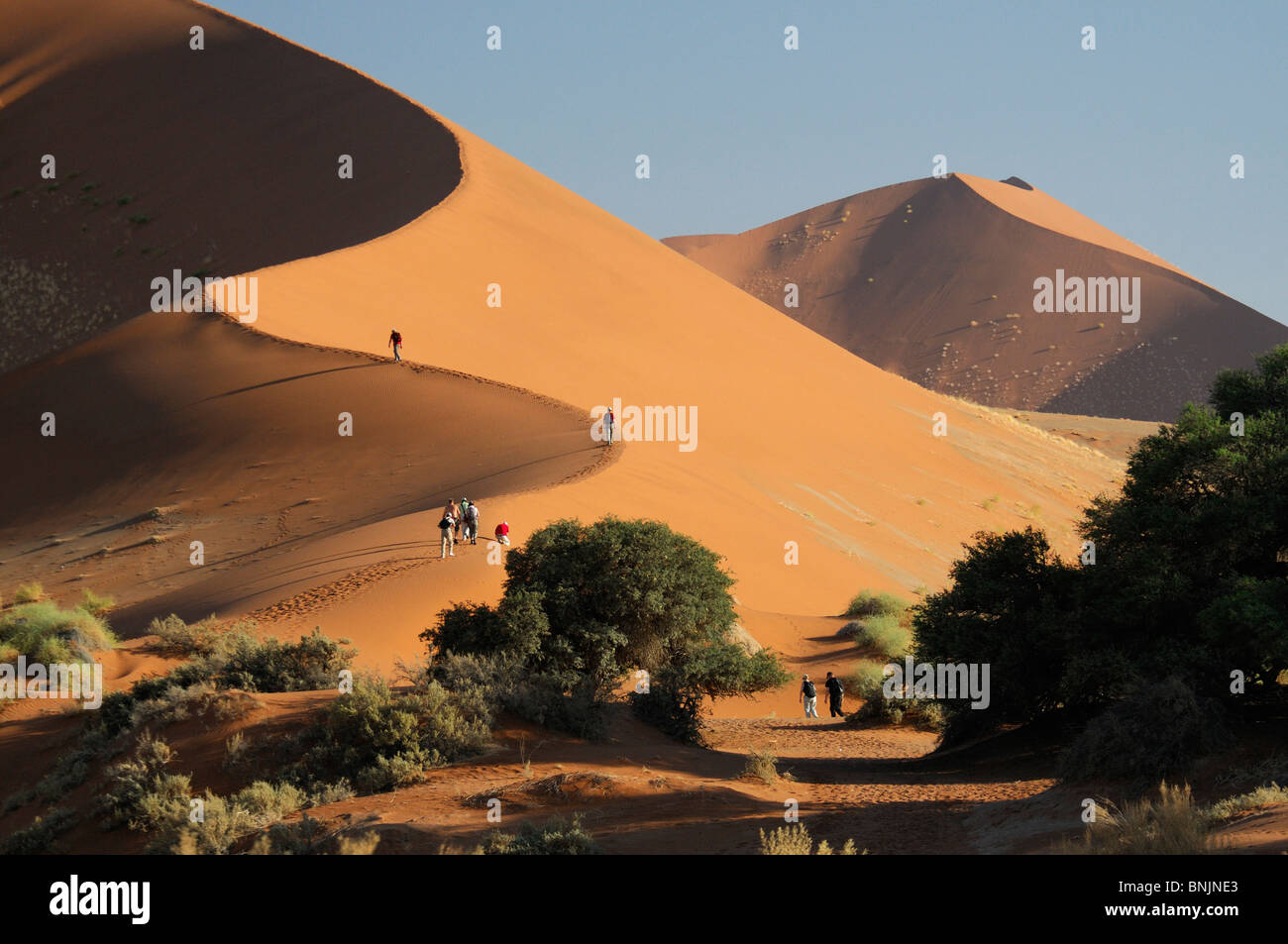 people hiking Big Daddy Sand Dune Sossusvlei Namib Naukluft National