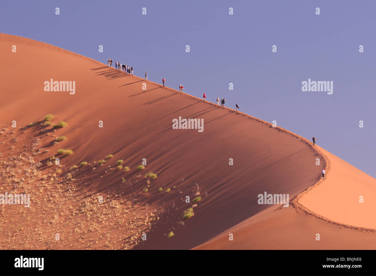 people hiking Big Daddy Sand Dune Sossusvlei Namib Naukluft National