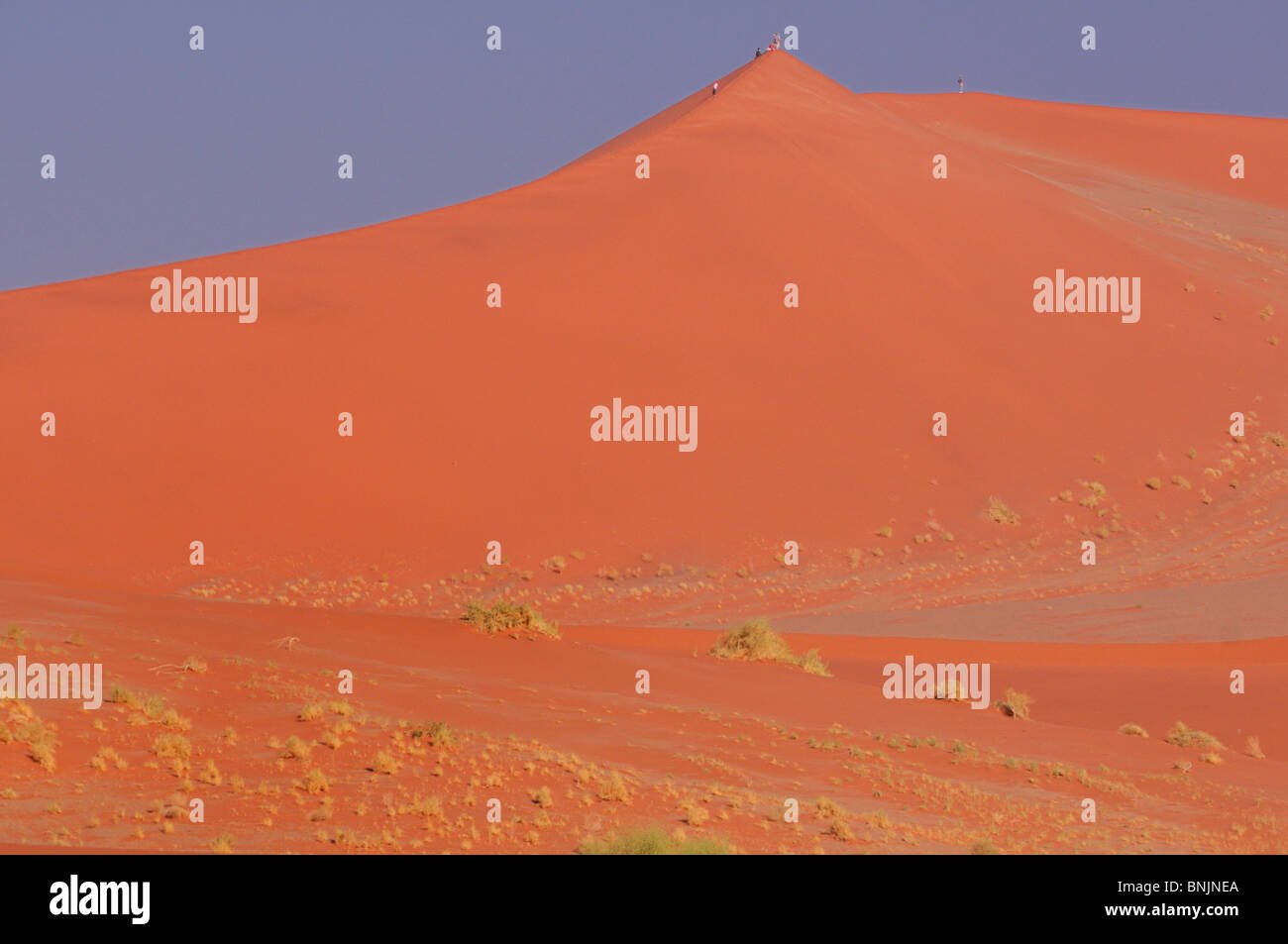 Sand Dunes Sossusvlei area Namib Naukluft National Park Hardap Region ...