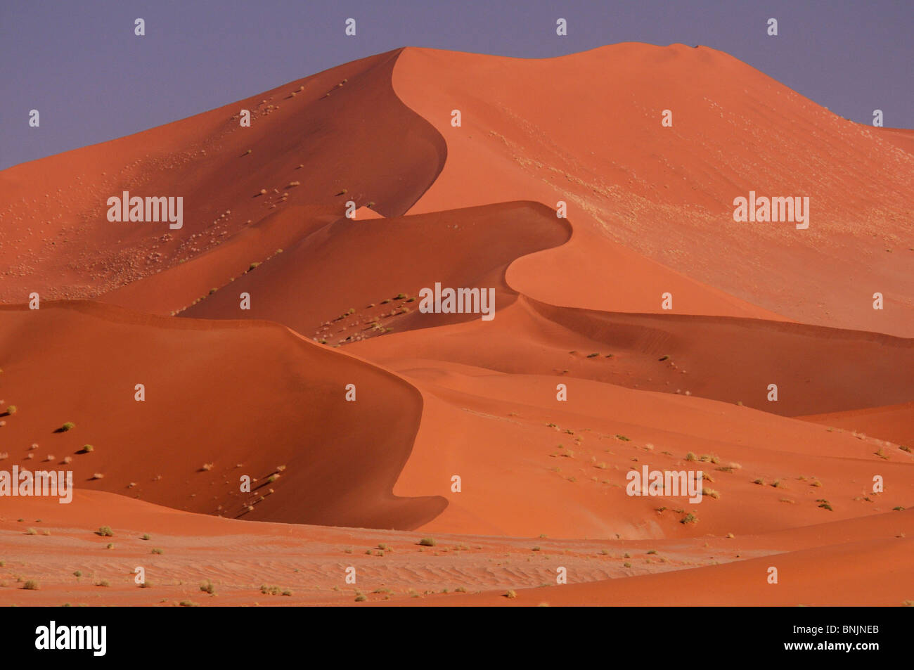 Sand Dunes Sossusvlei area Namib Naukluft National Park Hardap Region ...