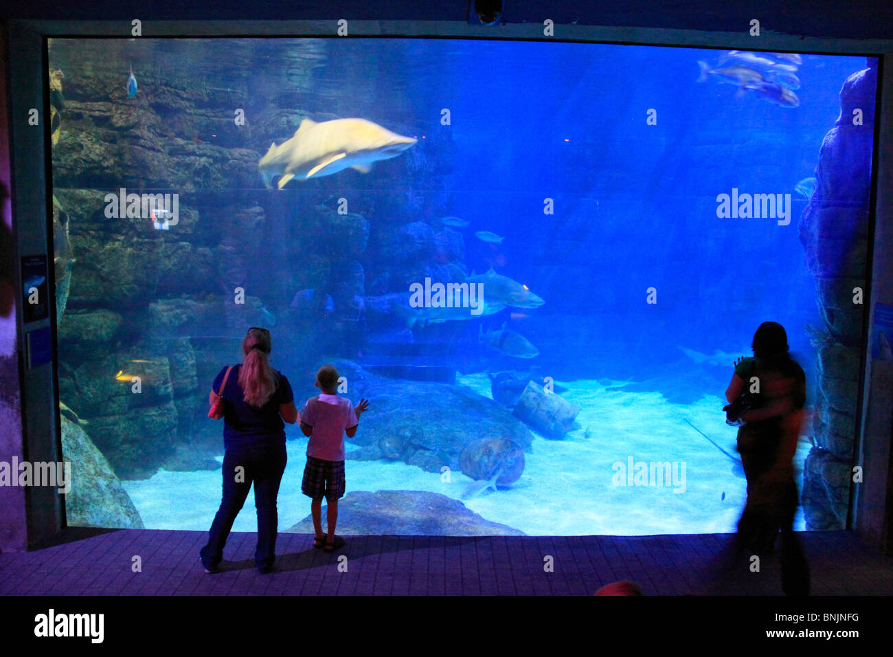 Norfolk Canyon Aquarium at Virginia Aquarium and Marine Science Center