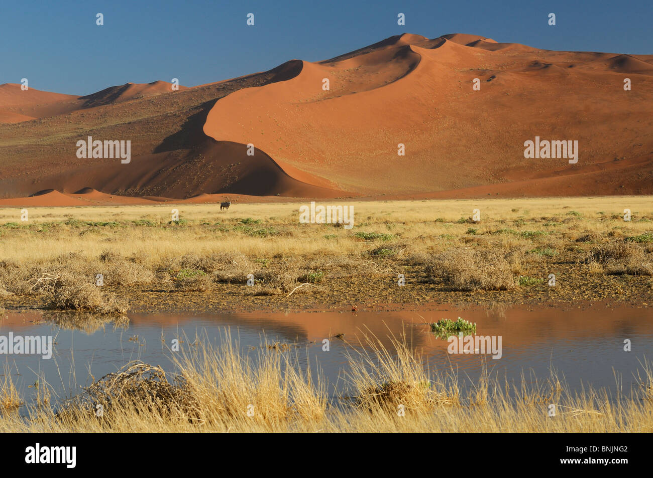 Water Sand Dunes Sossusvlei area Namib Naukluft National Park Hardap ...