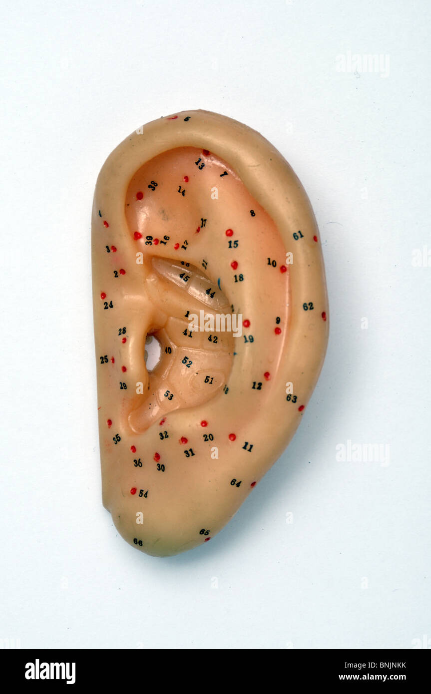 Ear Ears Acupuncture Auriculotherapie Auriculotherapy Therapy Medicine