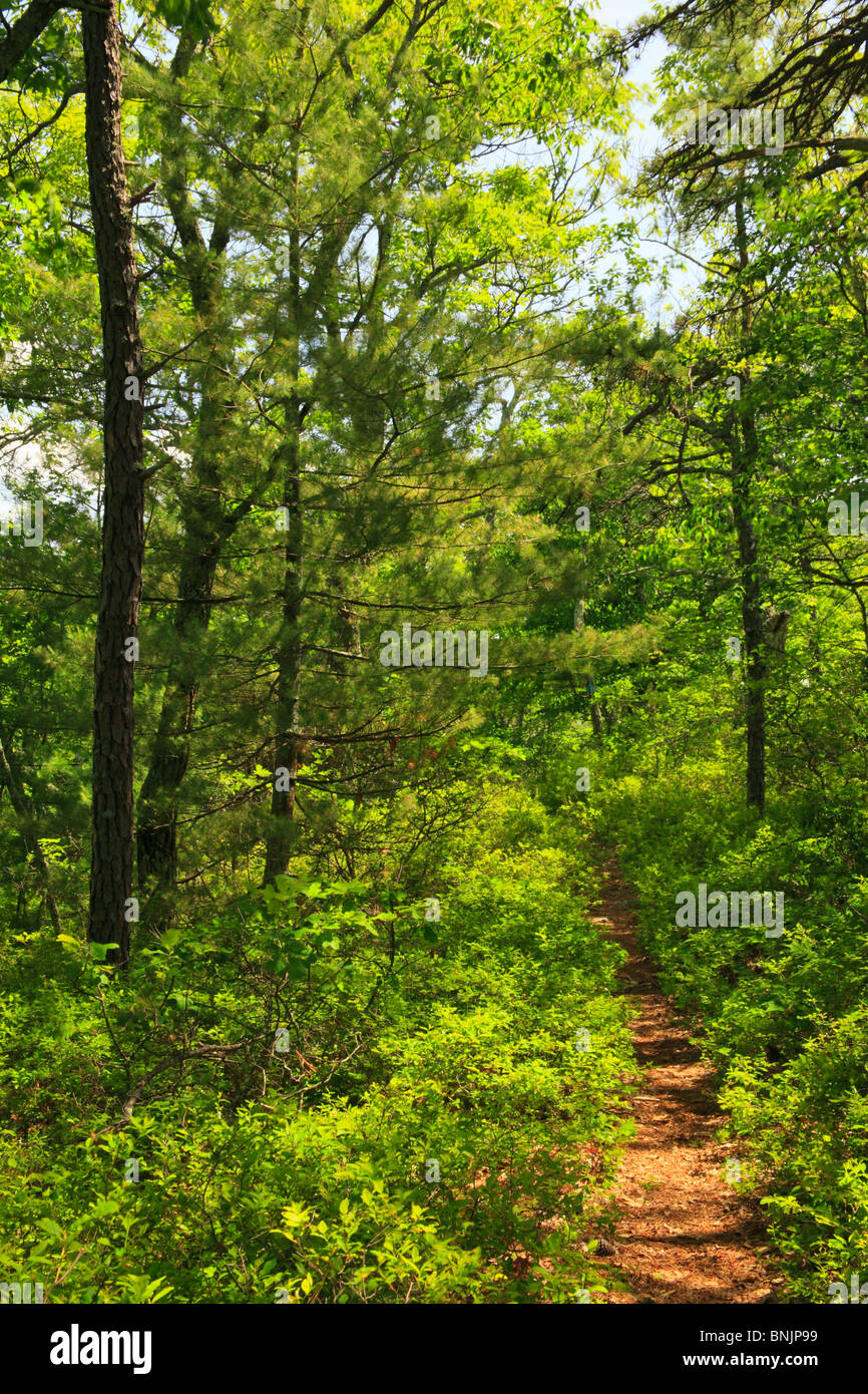 Franklin virginia hires stock photography and images Alamy