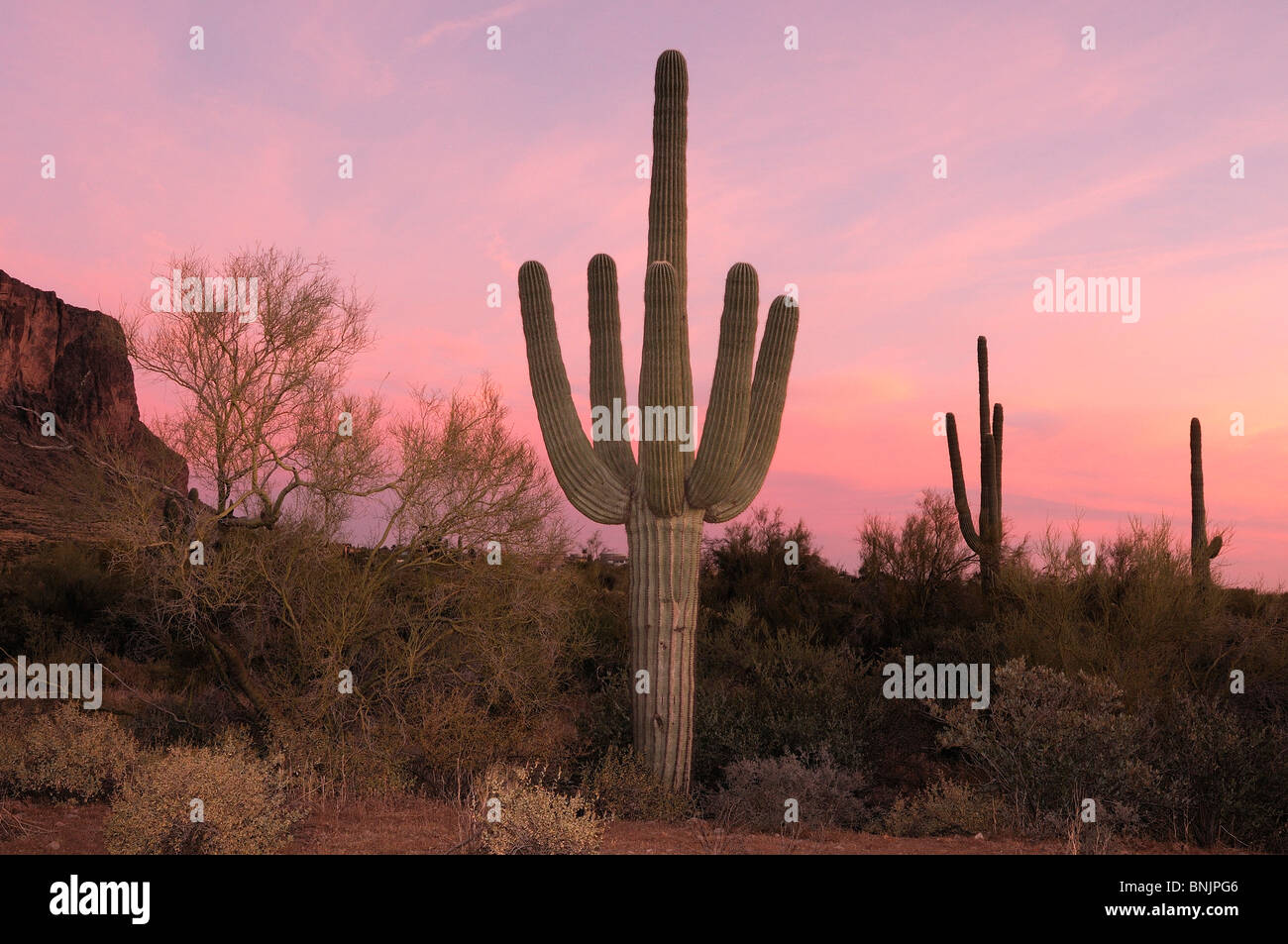 superstition-mountains-saguaro-cactus-cacti-sunset-lost-dutchman-state