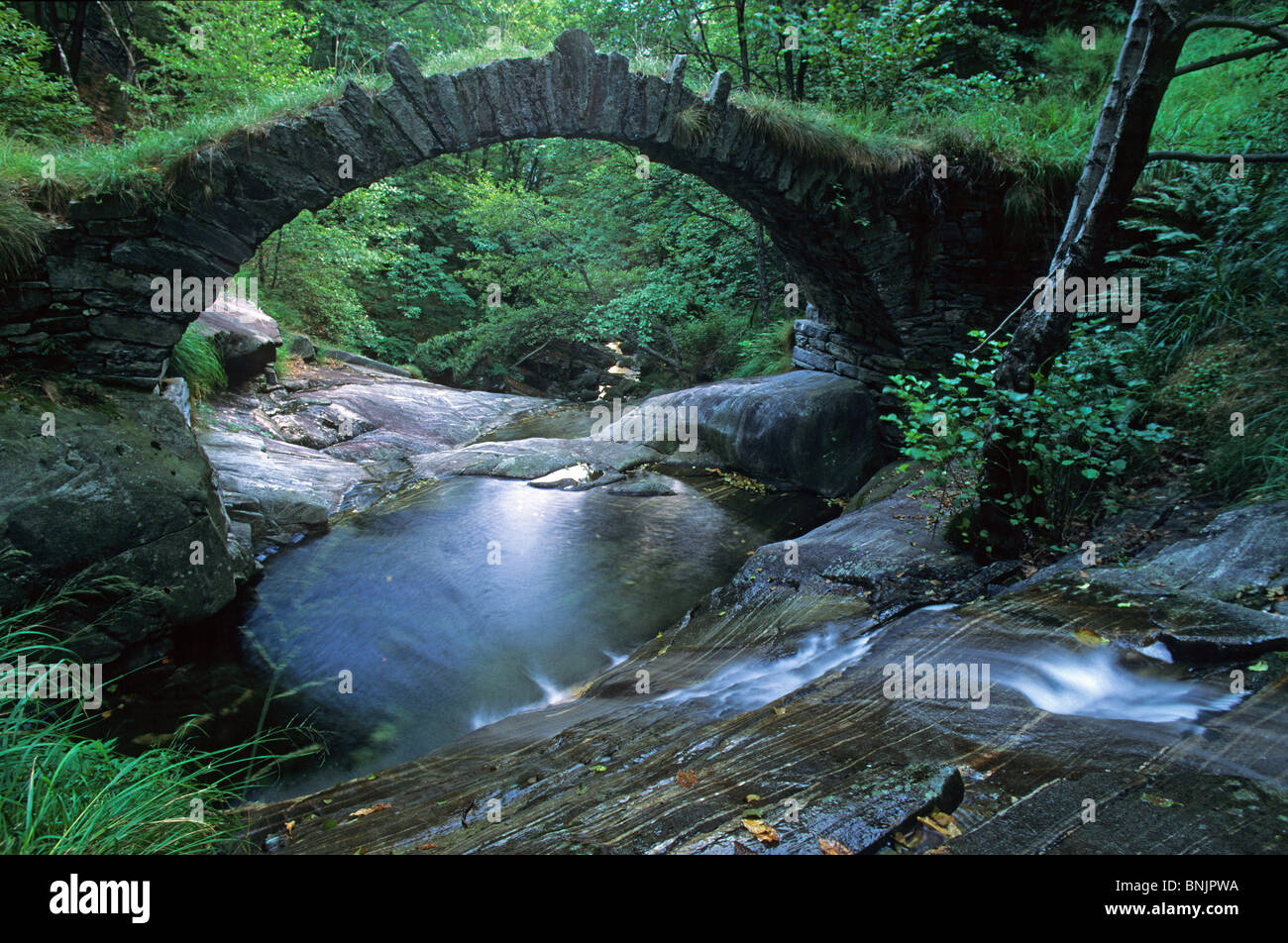 Valle Onsernone valley Switzerland Canton of Ticino bridge stone bridge arch bridge brook creek wood forest Landscape scenery Stock Photo