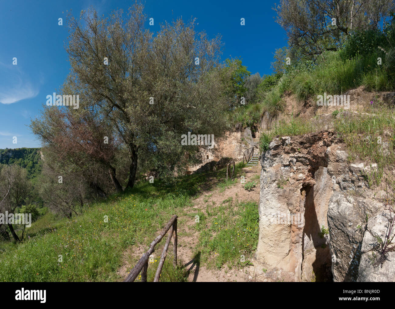 Grotto di Zungri Calabria Mediterranean Italy vegetation trees rocks cliffs, Stock Photo