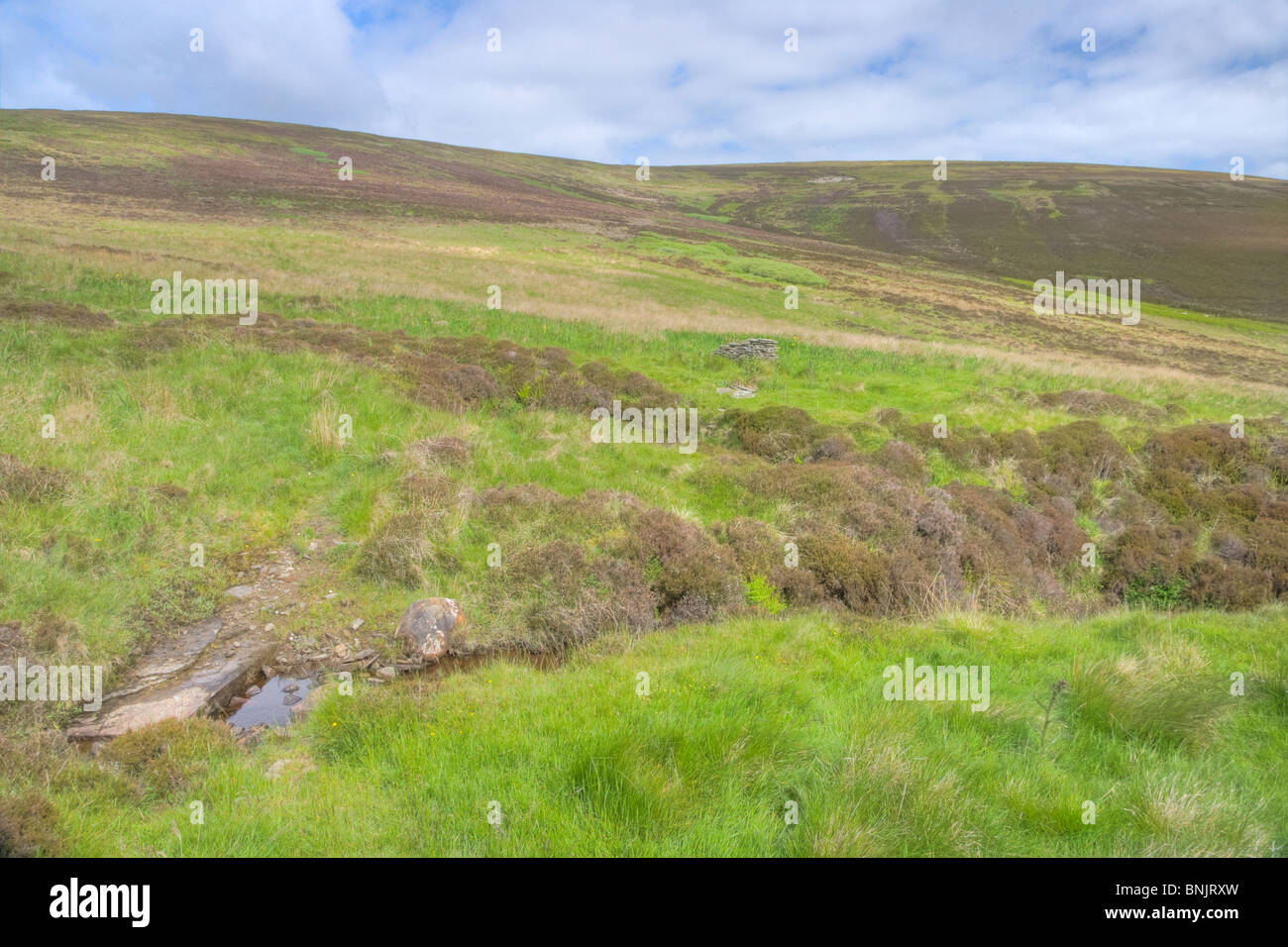 Abandoned Run-rig Strips, an Early System of Land Tenure and