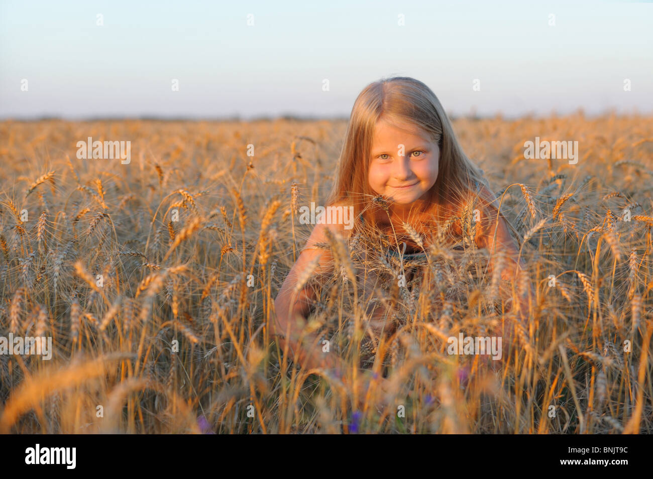 The girl in filed wheats. Warm light sunset Stock Photo - Alamy